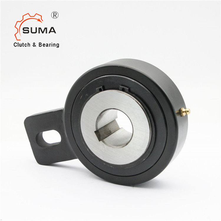 Cale à chaînes de manière de l'ascenseur RSBW80 un soutenant 200RPM pour de basses vitesses de rotation