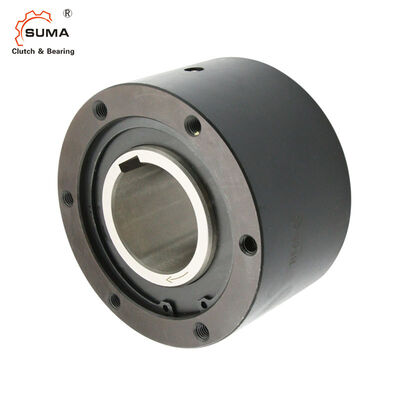 BS425 BS450 Transmission de couple 980000Nm Freewheel Backstop Clutch pour usine de ciment